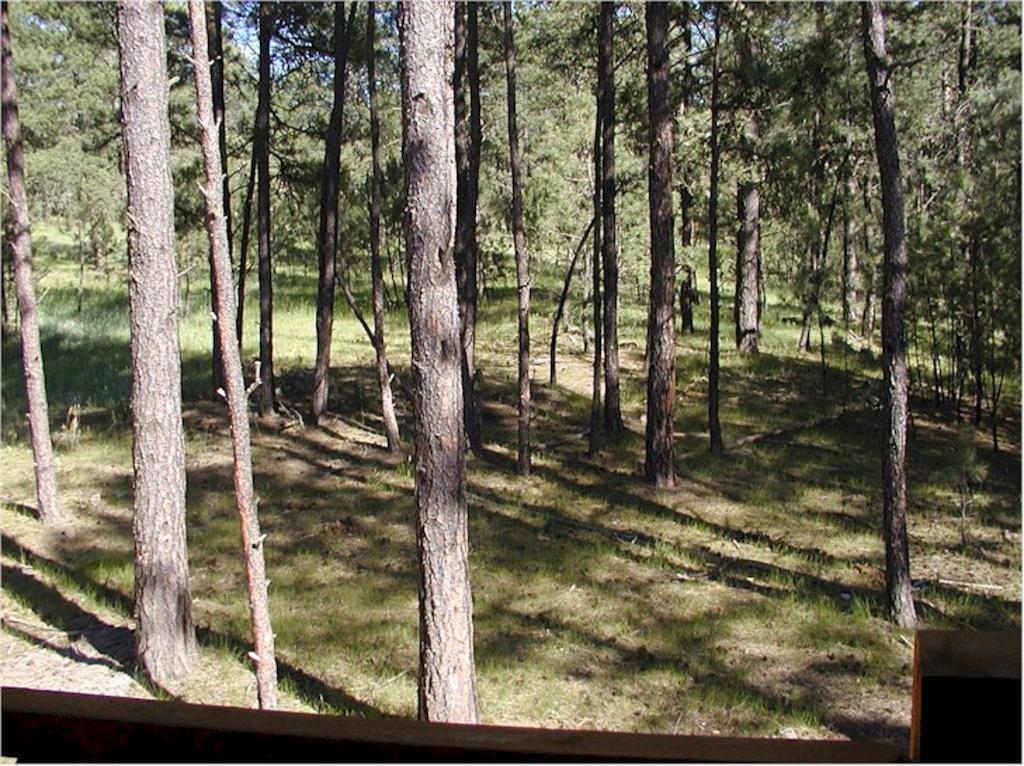 Comanche Lodge Custer Ruang foto